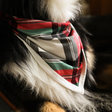 Dog Bib Tartan Dreams Pet Bandana