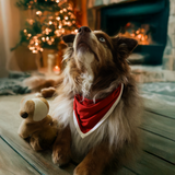 Dog Bib Red Heritage Pet Bandana