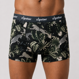 Men's Boxer Shorts Zebra